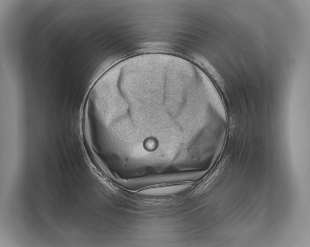 X0000112811386200909181541