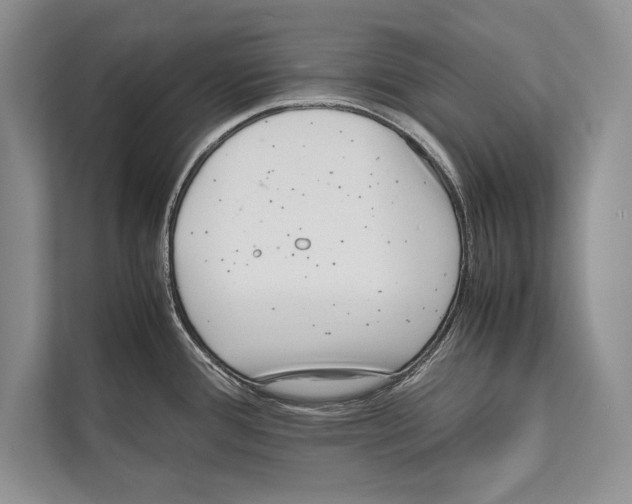 X0000112811388200909181541