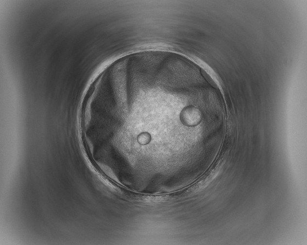 X0000112811389200909181541