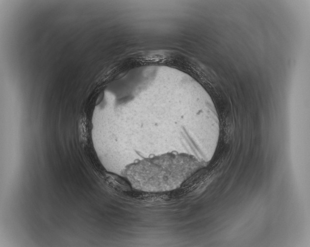 X0000112811394200909181541