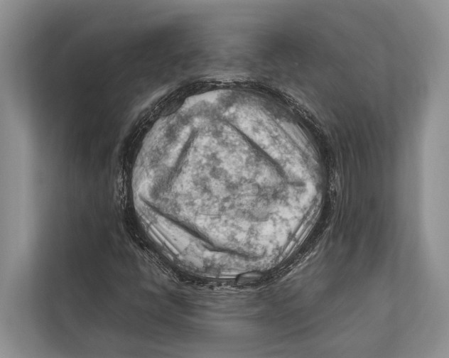 X0000112811398200909181541