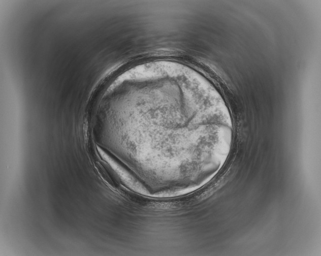 X0000112811402200909181541