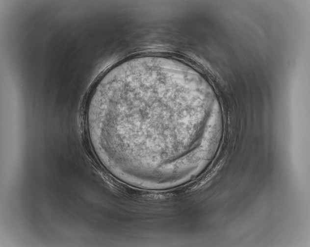 X0000112811405200909181541