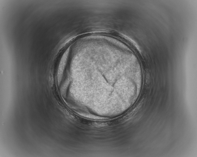 X0000112811407200909181541