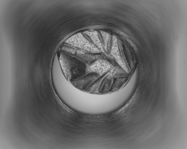 X0000112811417200909181541