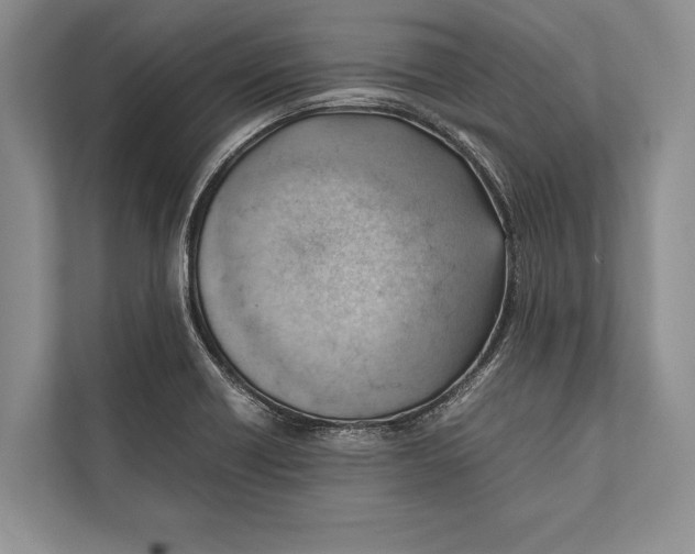 X0000112811418200909181541