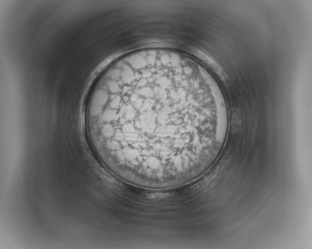 X0000112811419200909181541