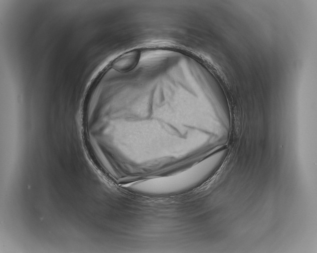 X0000112811422200909181541