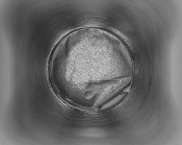 X0000112811423200909181541