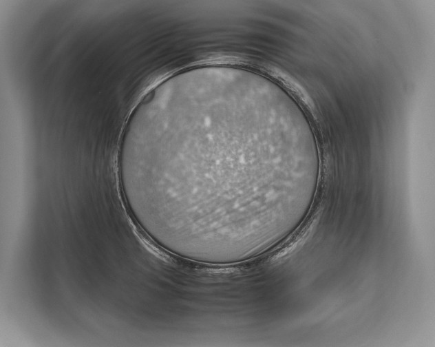 X0000112811425200909181541