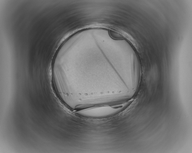 X0000112811428200909181541