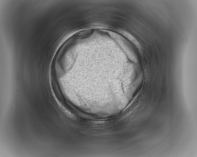 X0000112811431200909181541