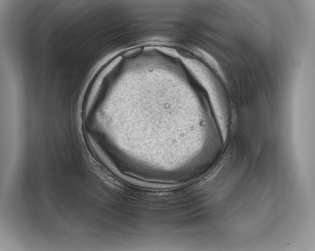 X0000112811435200909181541