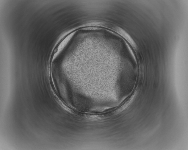 X0000112811436200909181541