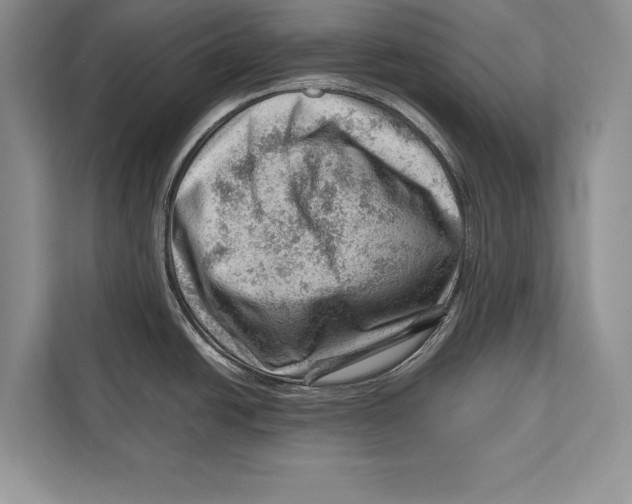 X0000112811438200909181541