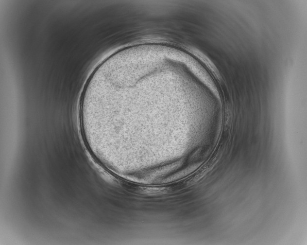 X0000112811439200909181541