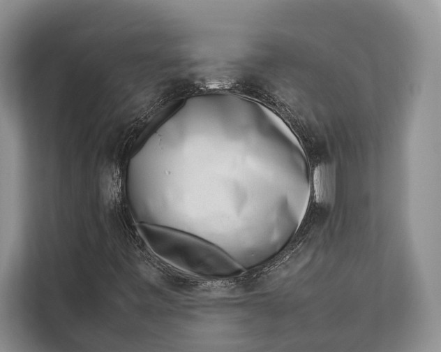 X0000112811443200909181541