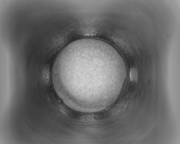 X0000112811444200909181541