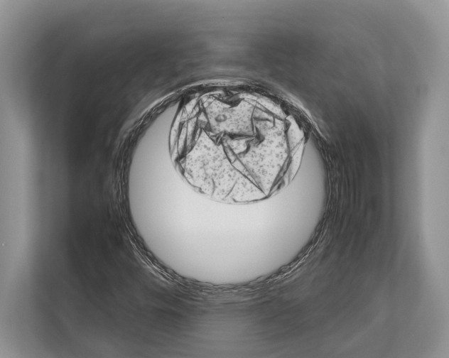 X0000112811448200909181541