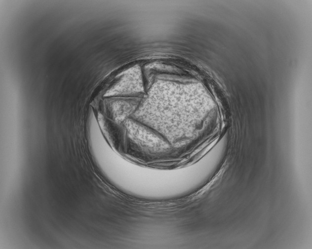 X0000112811449200909181541