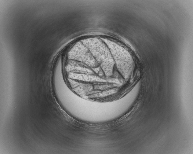 X0000112811456200909181540