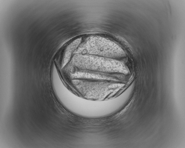 X0000112811457200909181540