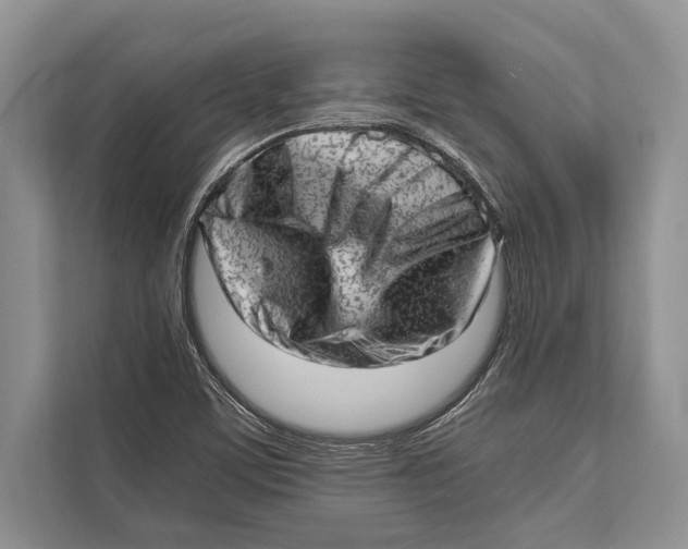 X0000112811459200909181540