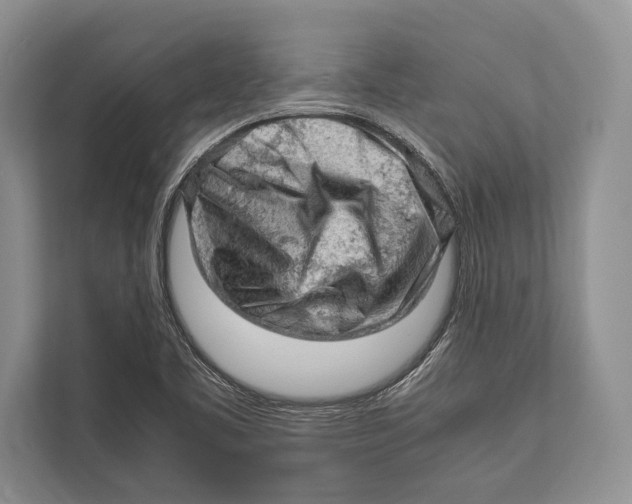 X0000112811461200909181540