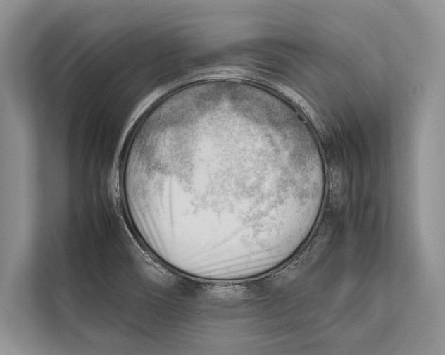 X0000112811466200909181540