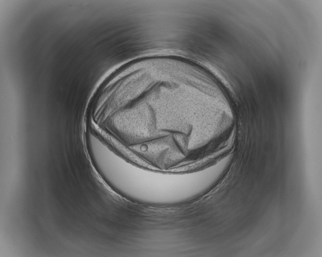 X0000112811468200909181540