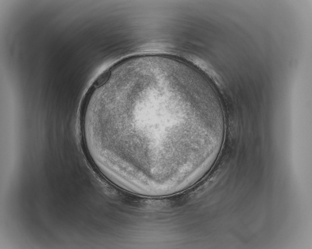 X0000112811469200909181540