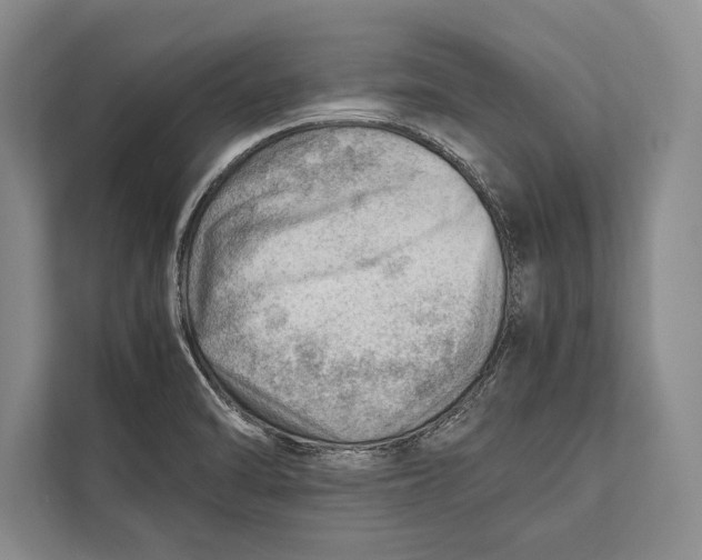 X0000112811470200909181540