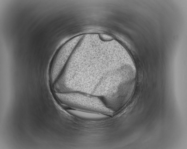 X0000112811471200909181540