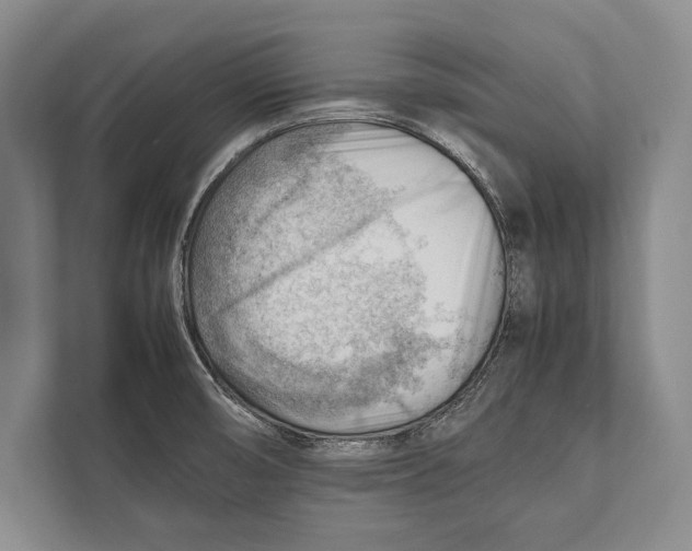 X0000112811474200909181540