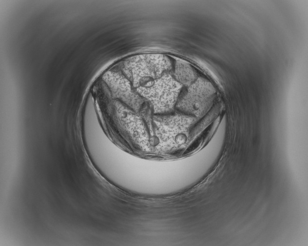 X0000112811476200909181540