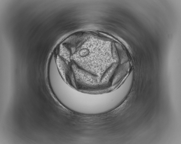 X0000112811477200909181540