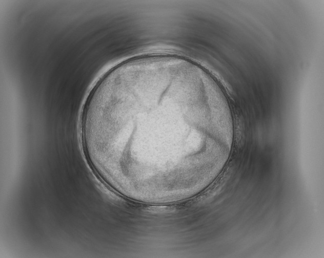 X0000112811478200909181540