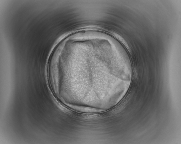 X0000112811482200909181540