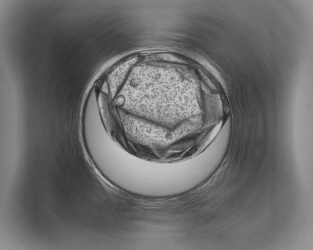 X0000112811485200909181540