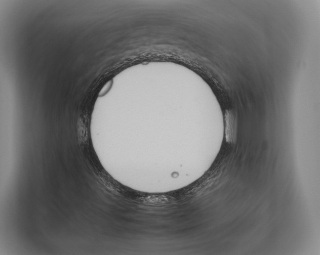 X0000112811491200909181539