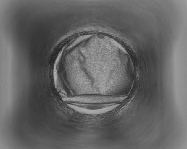 X0000112811494200909181539