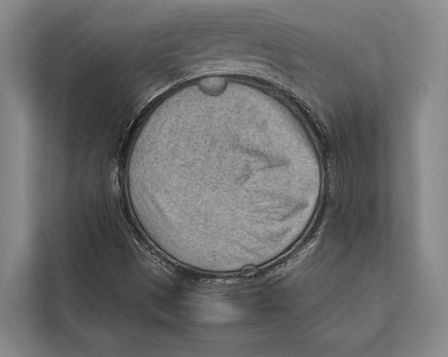 X0000112811497200909181539