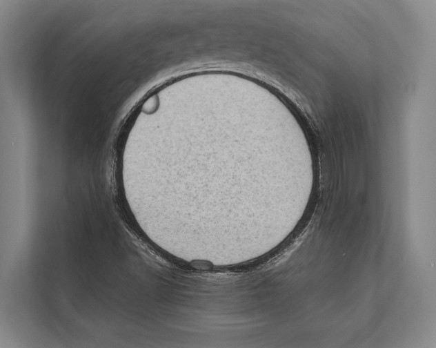 X0000112811502200909181539