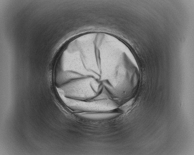 X0000112811503200909181539