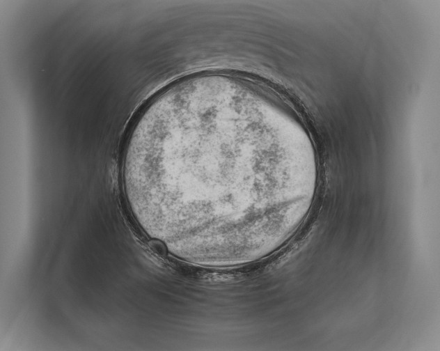 X0000112811505200909181539