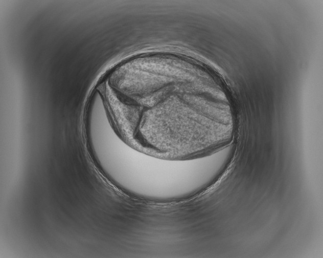 X0000112811506200909181539