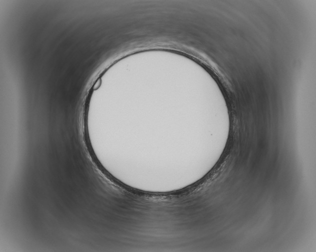 X0000112811512200909181540