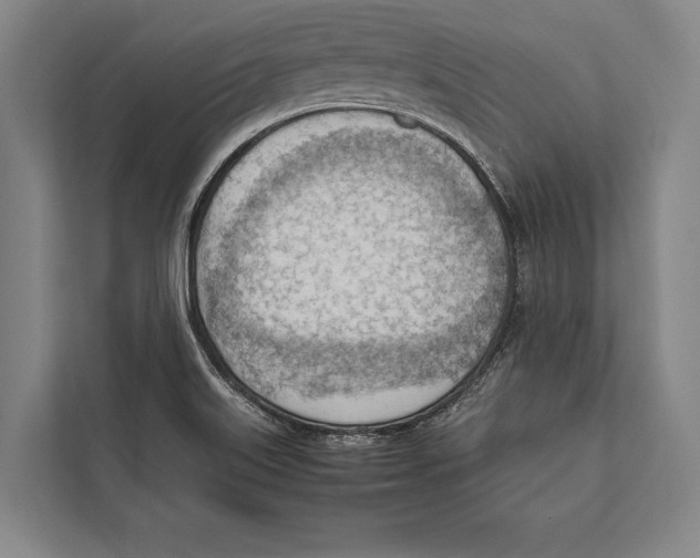 X0000112811515200909181540