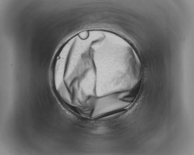 X0000112811517200909181540