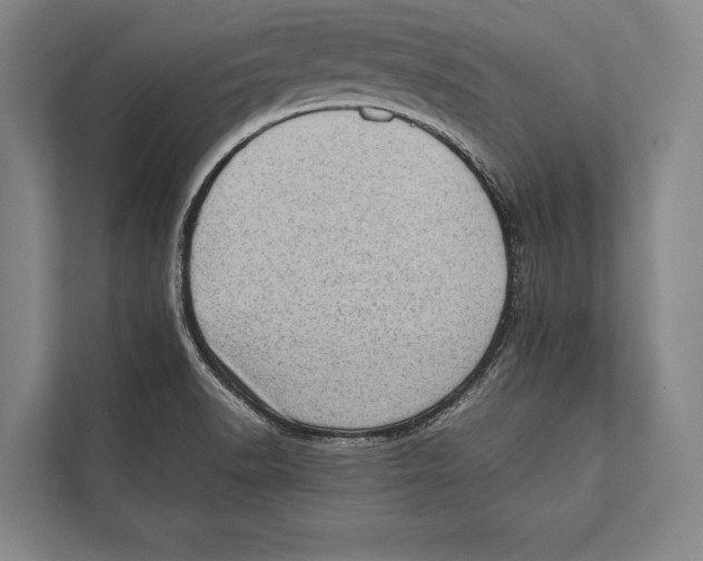 X0000112811518200909181540